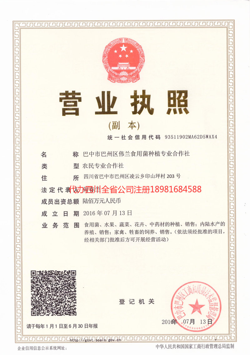 五常五常伟兰食用菌种植专业合作社